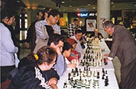 Roman Pelts 30 board simultaneous exhibition, Toronto 2001.